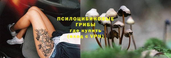 марки lsd Белокуриха