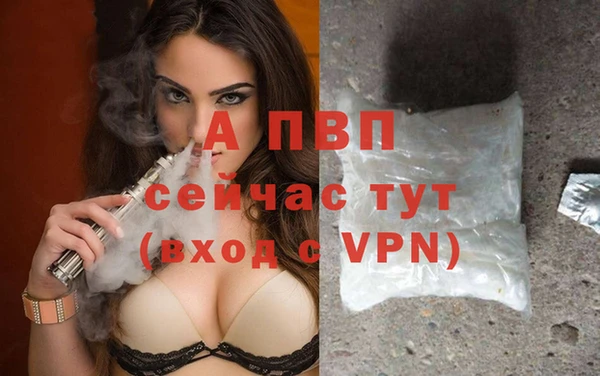 марки lsd Белокуриха
